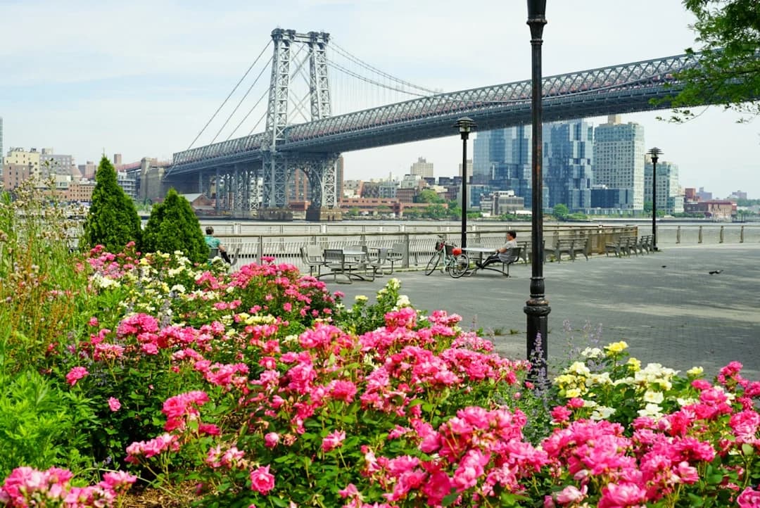 Manhattan Vertical Gardens 2026: Data-Driven Update