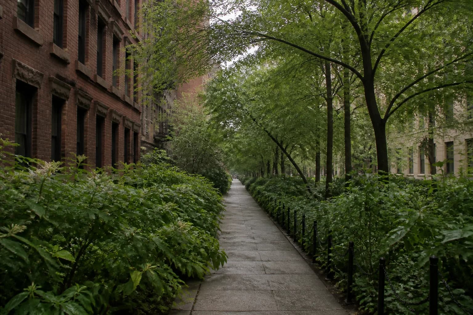 Urban Green Corridors NYC Real Estate and Community Life